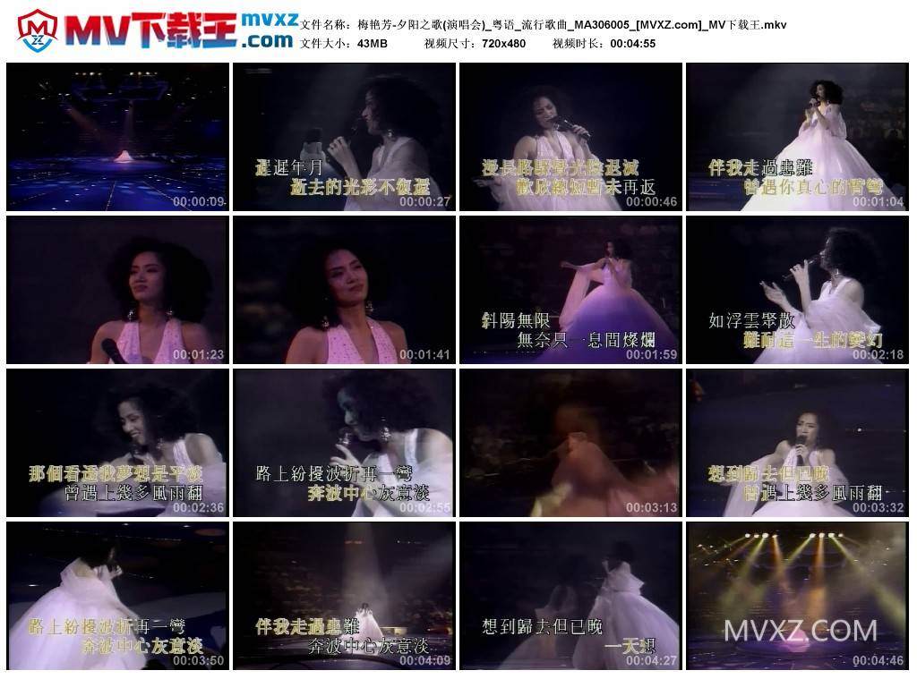 梅艳芳-夕阳之歌(演唱会)_粤语_流行歌曲_MA306005